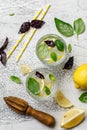 Summer basil lemonade on grey background. Fresh summer cocktail with basil, lemon and ice cubes. Homemade fresh lemonade with lemo