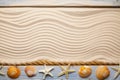 Summer beach background - hawser, shells, starfish and wooden plank on sand