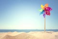 Summer beach background Royalty Free Stock Photo