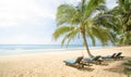 Summer beach background on tropical island Royalty Free Stock Photo