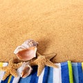 Summer beach border starfish seashell seashore background square Royalty Free Stock Photo