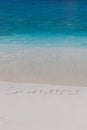 Summer beach and clear blue sea