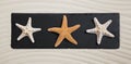 Summer beach concept: three starfishes on a black board for deco