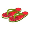 Summer beach flip-flops. Cartoon isolated slippers with watermelon, top view of sandals for female foot Royalty Free Stock Photo