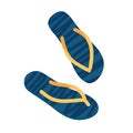 Summer Beach Flip Flops sandals. Flip flops isolated on white background. Blue Slipper icon. Vector