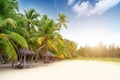 Coconut trees on the beach in Hainan, China Royalty Free Stock Photo