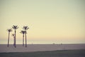 Summer beach landscape at sunset, retro/vintage Royalty Free Stock Photo