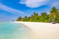 Summer beach landscape. Tropical island view, palm trees and loungers with amazing blue sea. Perfect beach scenery, white sand Royalty Free Stock Photo