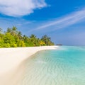 Summer beach landscape. Tropical island view, palm trees and loungers with amazing blue sea. Perfect beach scenery, white sand Royalty Free Stock Photo