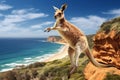 Wildlife australian mammal wild australia marsupial animal nature kangaroo cute