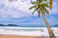 Summer beach with palms trees around in Patong beach Phuket island Thailand, Beautiful tropical beach with blue sky background in
