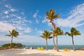 Summer beach scene with palm trees and lounge chairs