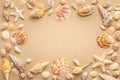 Summer beach or sea concept. Frame from seashells, starfish on sand. View from above. Copy space Royalty Free Stock Photo