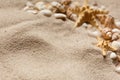 Summer beach. Sea sand with starfish and shells. With copy space. Summer background Royalty Free Stock Photo