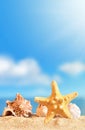 Summer beach. Seashell and starfish on a sand and ocean as background Royalty Free Stock Photo