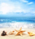 Summer beach. Seashell and starfish on a sand and ocean as background Royalty Free Stock Photo