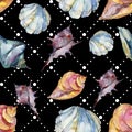 Summer beach seashell tropical elements. Watercolor background illustration set. Seamless background pattern. Royalty Free Stock Photo