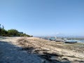 summer beach with seaweed and boats. Tropical sea in Bali Royalty Free Stock Photo