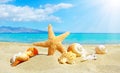 Summer beach with starfish and shells