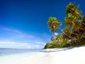 Summer Beach Tropical Paradise Seascape Concept Royalty Free Stock Photo