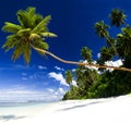 Summer Beach Tropical Paradise Seascape Concept Royalty Free Stock Photo