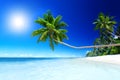 Summer Beach Tropical Paradise Seascape Concept Royalty Free Stock Photo