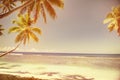 Summer Beach Tropical Peaceful Sunset Concept Royalty Free Stock Photo