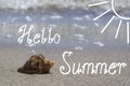 Summer beach vacation background with seashell, sand, sea, sunlight and lettering Hello Summer Royalty Free Stock Photo