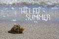 Summer beach vacation background with seashell, sand, sea, sunlight and lettering Hello Summer Royalty Free Stock Photo