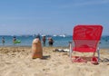 Beach accessories red chair and bag on a sand