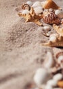 Summer beach vacation or holiday background with sand seashells and starfish Royalty Free Stock Photo