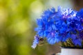 Summer beautiful bouquet blue corn flowers in white pot on nature background Royalty Free Stock Photo