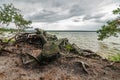 Beautiful view from the coast of the lake. Roots of the sawn wood in the foreground Royalty Free Stock Photo