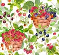 Summer berries in baskets - blueberry, blackberry, raspberry, cranberry, strawberry. Forest or garden harvest on floral