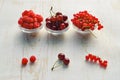 Summer berries, raspberries, cherries and red currants in glass bowls on the table. Royalty Free Stock Photo