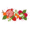 Summer berries raspberry, rosehip, strawberry, pomegranate, leaves. Cute hand drawn cartoon vector element isolated on