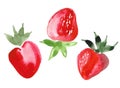 Summer berries set. Sketch of three red strawberries with green leaves on a white background. Royalty Free Stock Photo