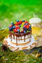 Summer berry cake Royalty Free Stock Photo