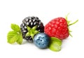 Summer berry fruits isolated