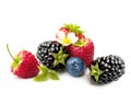 Summer Berry Fruits Isolated