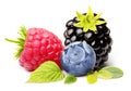 Summer Berry Fruits Isolated Royalty Free Stock Photo