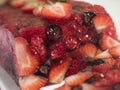 Summer Berry Jelly Terrine