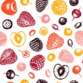 Summer berry seamless pattern. Hand drawn berries vector background. With fresh fruit: strawberry, cranberry, currant, cherry, Royalty Free Stock Photo