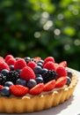 Summer Berry Tart on a White Plate Outdoors Royalty Free Stock Photo