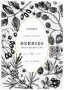 Summer berry vintage design. Hand drawn berries and flowers illustrations. Fresh fruits: strawberry, cranberry, currant, cherry, Royalty Free Stock Photo