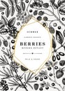 Summer berry vintage design. Hand drawn berries and flowers illustrations. Fresh fruits: strawberry, cranberry, currant, cherry, Royalty Free Stock Photo