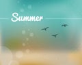 Summer. Birds and highlights in the sky. Blurred background. Vector illustration, flat design