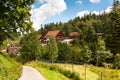 Summer in the Black Forest