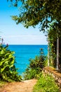 Summer black sea seashore landscape with footpath road and tree. Holiday concept. Tire , Giresun TR