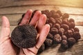 Summer black truffle